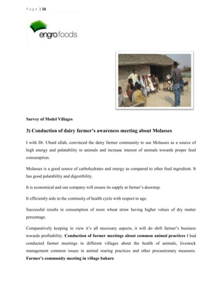 P a g e | 16

Survey of Model Villages

3) Conduction of dairy farmer’s awareness meeting about Molasses
I with Dr. Ubaid ullah, convinced the dairy farmer community to use Molasses as a source of
high energy and palatability in animals and increase interest of animals towards proper feed
consumption.
Molasses is a good source of carbohydrates and energy as compared to other feed ingredient. It
has good palatability and digestibility.
It is economical and our company will ensure its supply at farmer’s doorstep.
It efficiently aids in the continuity of health cycle with respect to age.
Successful results in consumption of more wheat straw having higher values of dry matter
percentage.
Comparatively keeping in view it’s all necessary aspects, it will do shift farmer’s business
towards profitability. Conduction of farmer meetings about common animal practices I had
conducted farmer meetings in different villages about the health of animals, livestock
management common issues in animal rearing practices and other precautionary measures.
Farmer’s community meeting in village baharo

 