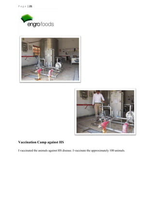 P a g e | 21

Vaccination Camp against HS
I vaccinated the animals against HS disease. I vaccinate the approximately 100 animals.

 