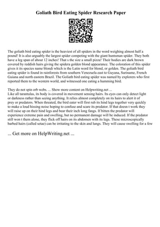 Goliath Bird Eating Spider Research Paper
The goliath bird eating spider is the heaviest of all spiders in the word weighing almost half a
pound! It is also arguably the largest spider competing with the giant huntsman spider. They both
have a leg span of about 12 inches! That s the size a small pizza! Their bodies are dark brown
covered by reddish hairs giving the spidera golden blond appearance. The coloration of this spider
gives it its species name blondi which is the Latin word for blond, or golden. The goliath bird
eating spider is found in rainforests from southern Venezuela east to Guyana, Suriname, French
Guiana and north eastern Brazil. The Goliath bird eating spider was named by explorers who first
reported them to the western world, and witnessed one eating a humming bird.
They do not spin orb webs. ... Show more content on Helpwriting.net ...
Like all tarantulas, its body is covered in movement sensing hairs. Its eyes can only detect light
or darkness rather than seeing anything. It relies almost completely on its hairs to alert it of
prey or predators. When threated, the bird eater will first rub its hind legs together very quickly
to make a loud hissing noise hoping to confuse and scare its predator. If that doesn t work they
will raise up on their hind legs and bear their inch long fangs. If bitten the predator will
experience extreme pain and swelling, but no permanent damage will be induced. If the predator
still won t them alone, they flick off hairs on its abdomen with its legs. These microscopically
barbed hairs (called setae) can be irritating to the skin and lungs. They will cause swelling for a few
... Get more on HelpWriting.net ...
 