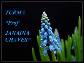 TURMA
“Profª
JANAINA
CHAVES”
 