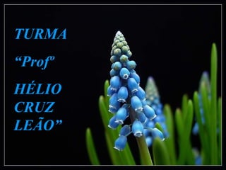 TURMA
“Profº
HÉLIO
CRUZ
LEÃO”
 