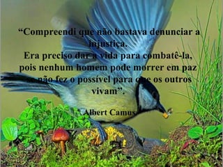 “Compreendi que não bastava denunciar a
injustiça.
Era preciso dar a vida para combatê-la,
pois nenhum homem pode morrer em paz
se não fez o possível para que os outros
vivam”.
Albert Camus
 