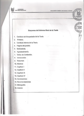 Forma y fondo de la tesis