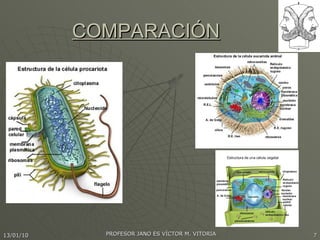 COMPARACIÓN