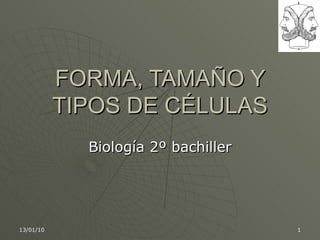 Biología 2º bachiller FORMA, TAMAÑO Y TIPOS DE CÉLULAS 