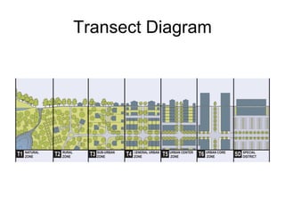 Transect Diagram
 
