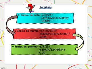  Indice de miller =4∏S/P²
=4x3.14x52343/(885)²
=0,839
 Indice de morton =S/ ∏(0.5xT)²
=52343/3.14x(0.5x383)²
=0,45
 Indice de graviluis =p/2√∏S
=885/2x√3.14x52343
=1,09
Les calcules
 
