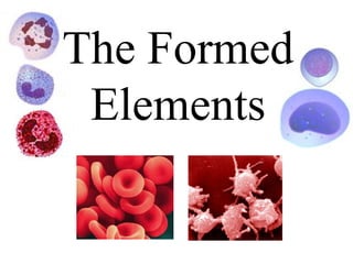 The Formed Elements 