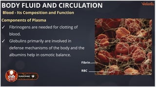 Formed+Elements+of+blood.pdf