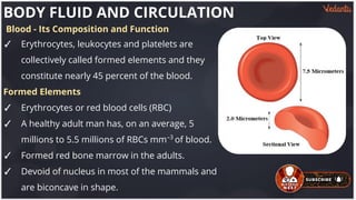 Formed+Elements+of+blood.pdf