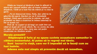 Zilele au trecut și tânărul a fost în sfârșit în
stare să-i spună tatălui său că toate cuilele au
dispărut. Tatăl și-a luat fiul de mână și l-a dus la
gard.
- „Te-ai descurcat bine, fiule, dar uită-te la
găurile din gard. Gardul nu va fi niciodată
același. Când spui lucrurile în mânie, cel mai
probabil va lăsa o cicatrice în inima celorlați la
fel ca acest cui.
Poti să te superi și să bagi un cuțit într-un
cățel și după să-l scoți afară. Nu va conta de câte
ori spui că îmi pare rău, rana sau cel puțin
cicatricea va rămâne acolo. "
Morala povestii?
Stăpânește-ți furia și nu spune cuvinte acuzatoare oamenilor în
căldura momentului. Ai putea să le regreți mai târziu.
Sunt lucruri in viață, care vor fi imposibil să le faceți cum au
fost înainte.
Adesea este mai simplu să prevenim decât să remediem.
 