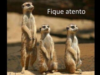 Fique atento