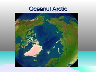 Oceanul Arctic
 