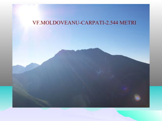 VF.MOLDOVEANU-CARPATI-2.544 METRI
 