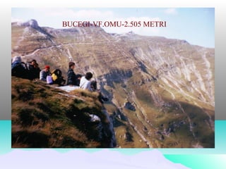 BUCEGI-VF.OMU-2.505 METRI
 