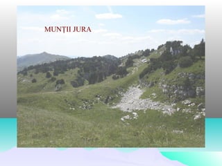 MUNŢII JURA
 