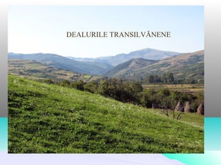 DEALURILE TRANSILVĂNENE
 