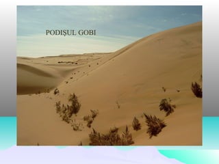PODIŞUL GOBI
 