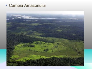 • Campia Amazonului
 