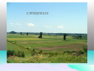 C.PITEŞTIULUI
 