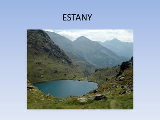 ESTANY
 