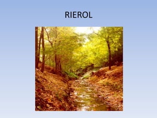 RIEROL
 