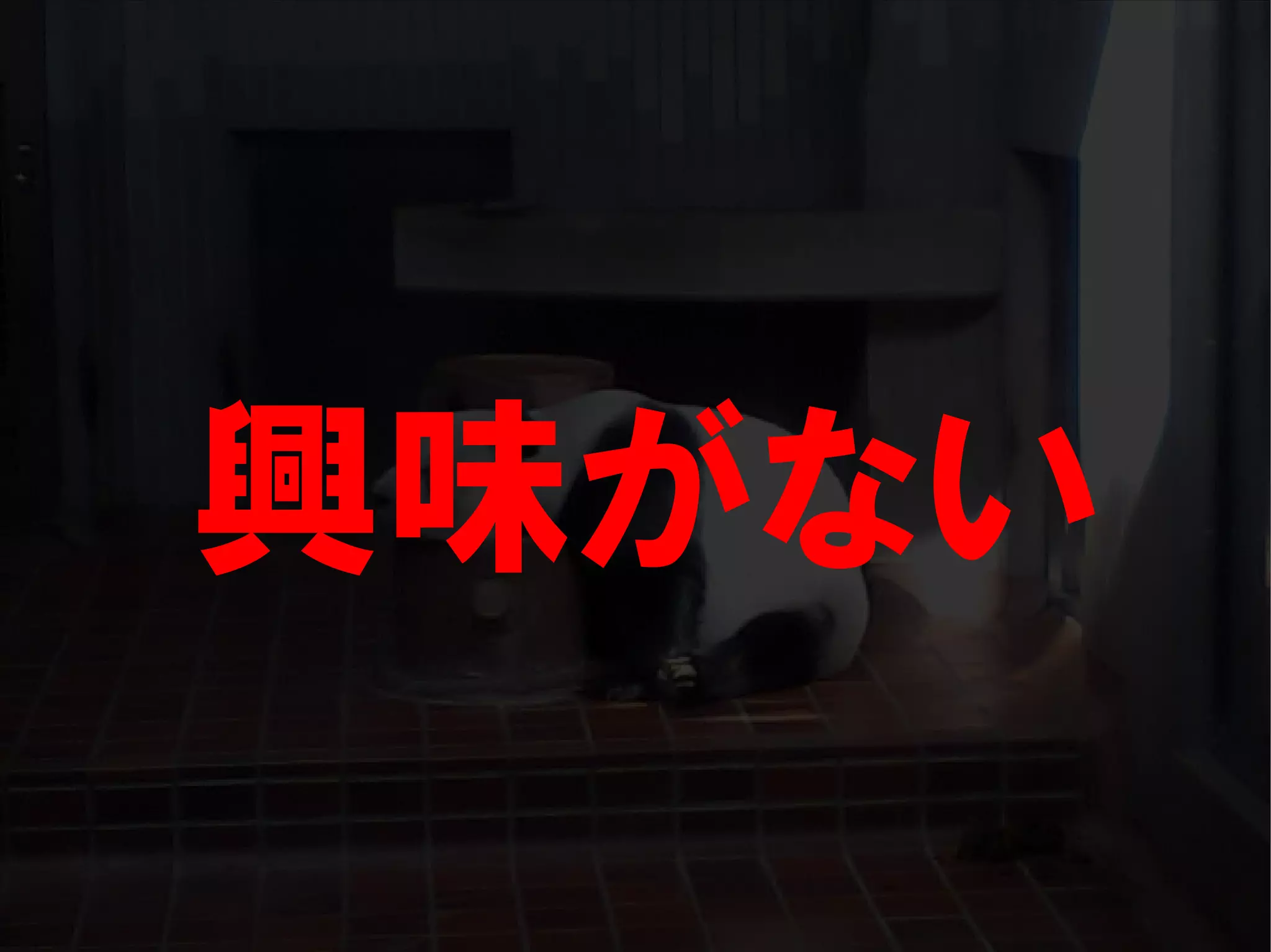 人が集まらない勉強会の果てに辿り着いた新しい勉強会  For Meta Con2009