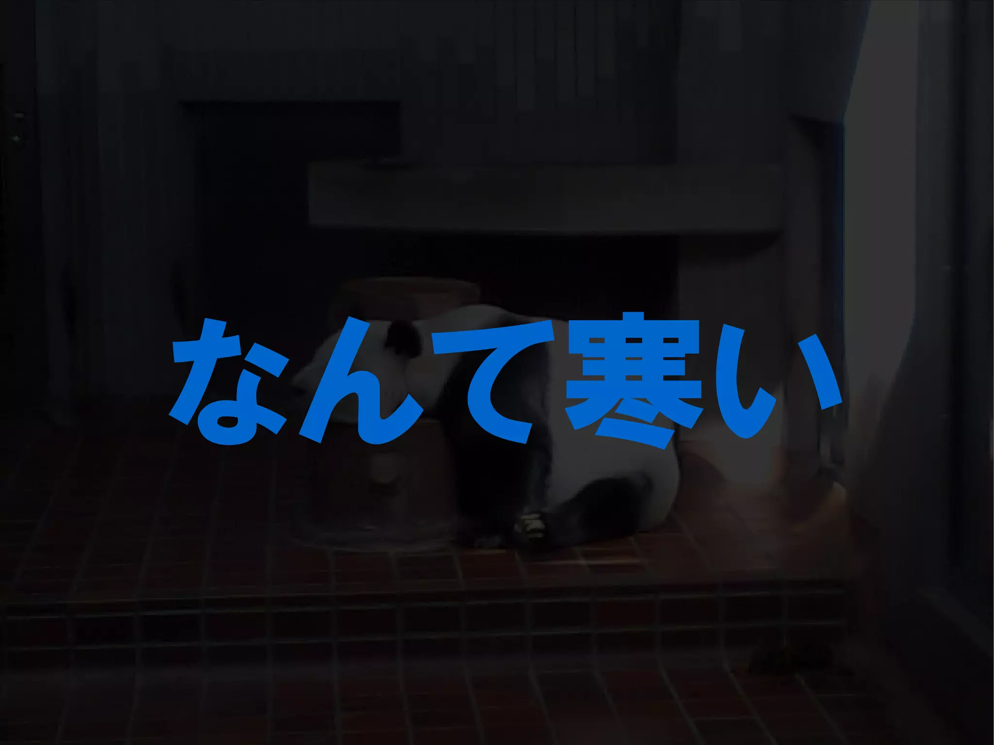 人が集まらない勉強会の果てに辿り着いた新しい勉強会  For Meta Con2009