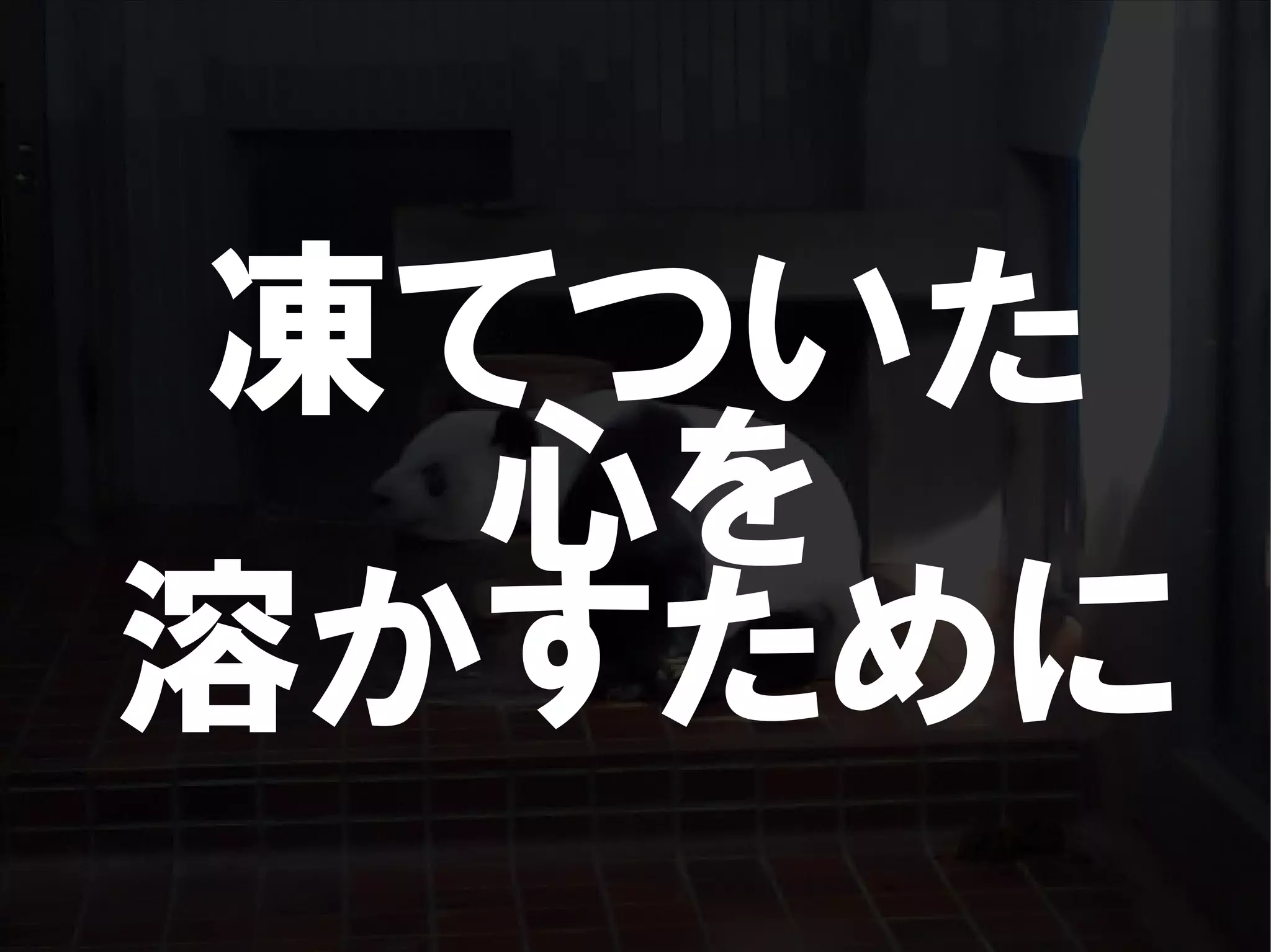 人が集まらない勉強会の果てに辿り着いた新しい勉強会  For Meta Con2009