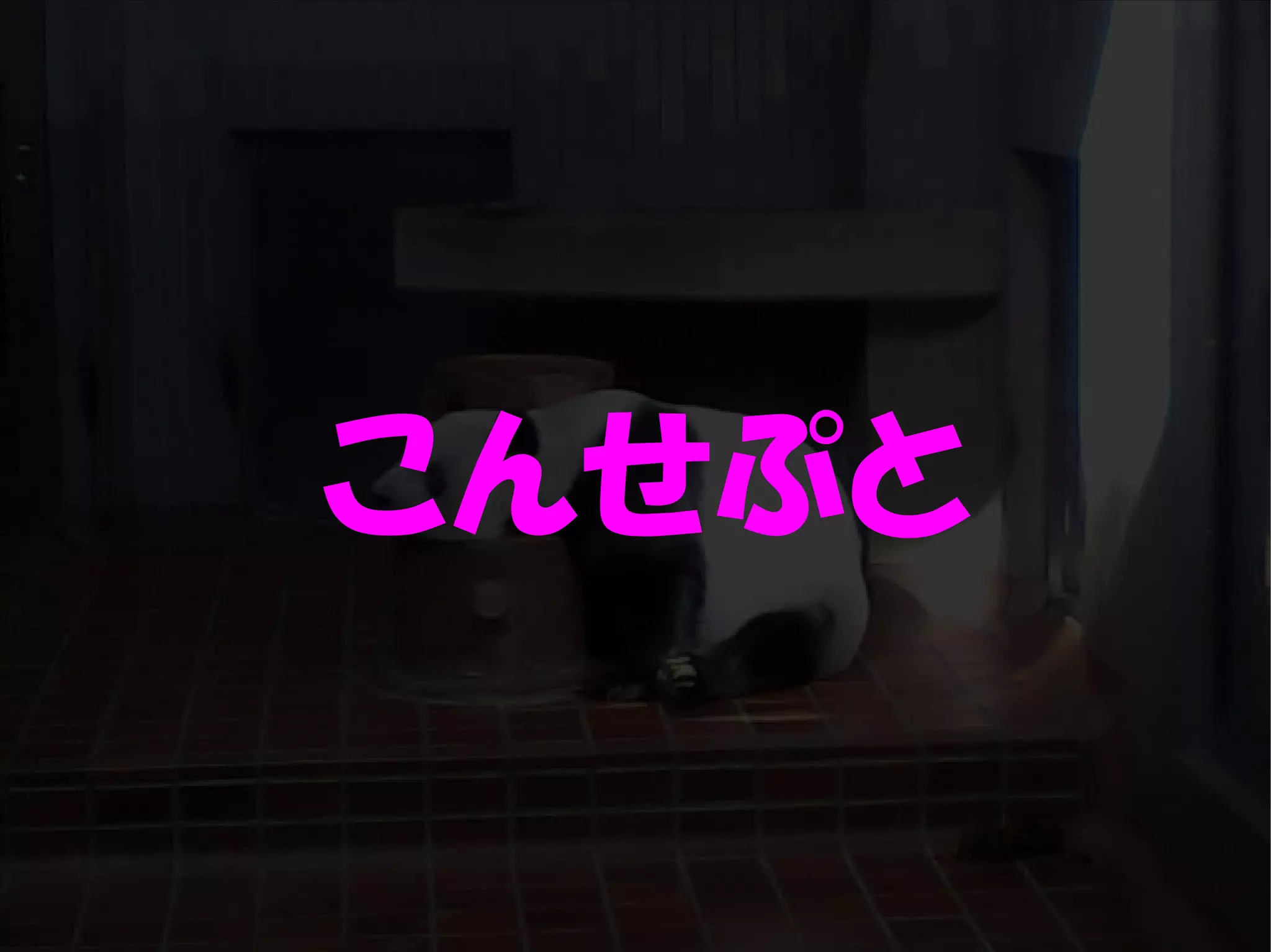 人が集まらない勉強会の果てに辿り着いた新しい勉強会  For Meta Con2009