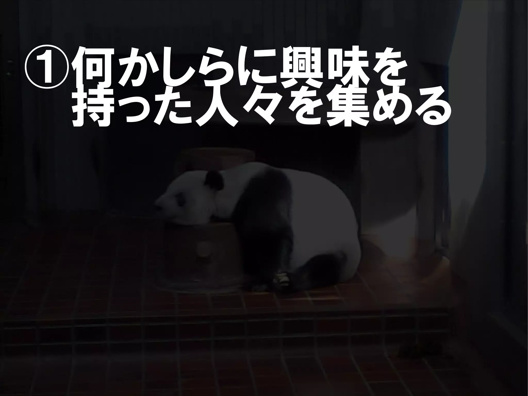 人が集まらない勉強会の果てに辿り着いた新しい勉強会  For Meta Con2009