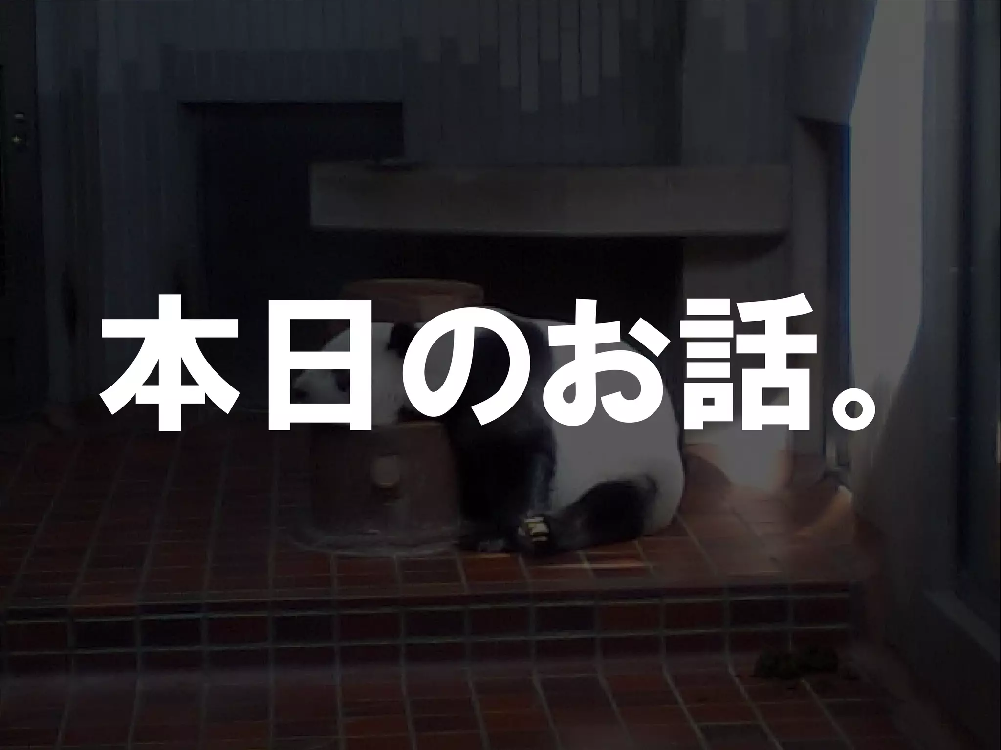 人が集まらない勉強会の果てに辿り着いた新しい勉強会  For Meta Con2009