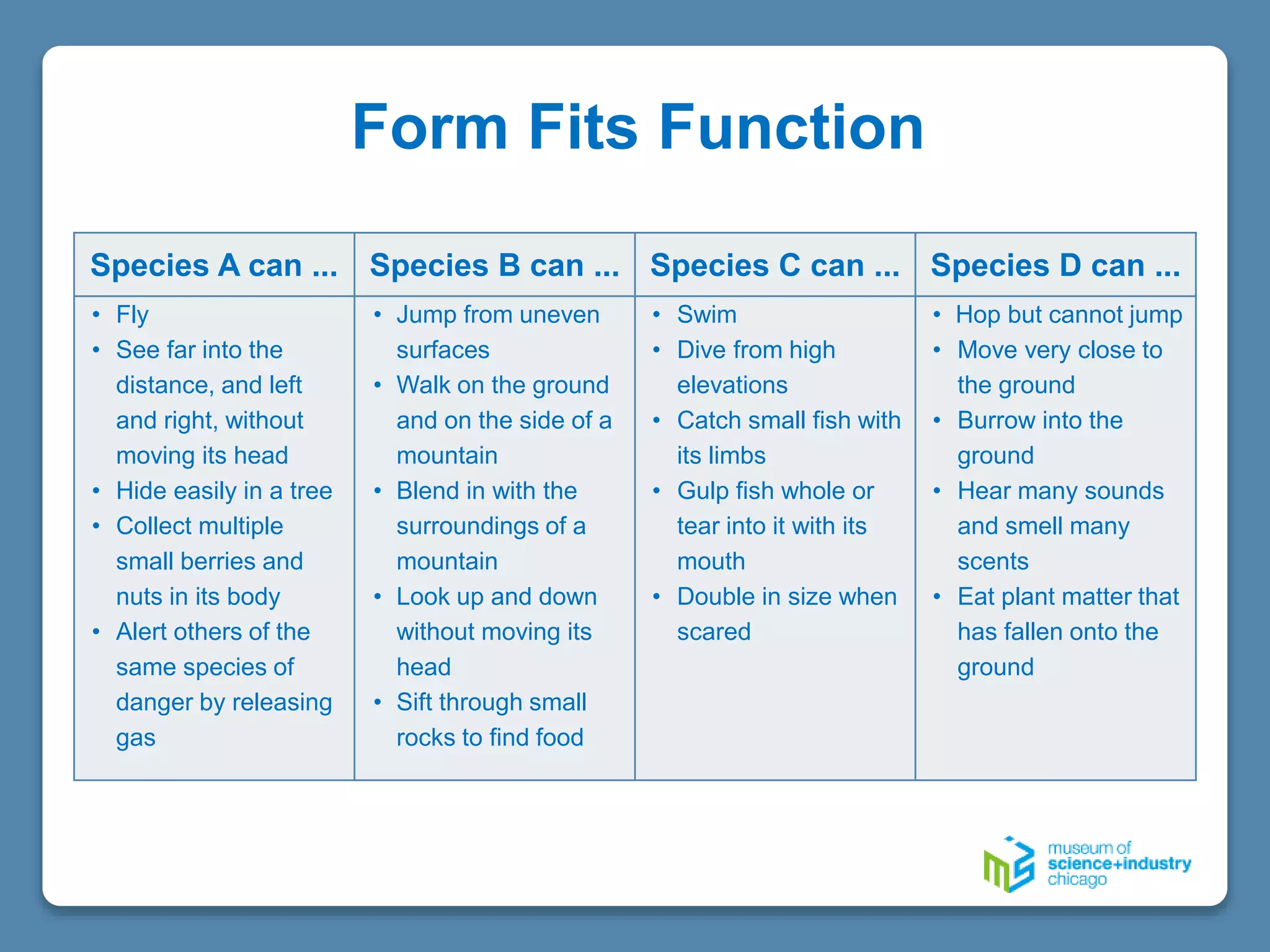 Species A can ... Species B can ... Species C can ... Species D can ...
• Fly
• See far into the
distance, and left
and right, without
moving its head
• Hide easily in a tree
• Collect multiple
small berries and
nuts in its body
• Alert others of the
same species of
danger by releasing
gas
• Jump from uneven
surfaces
• Walk on the ground
and on the side of a
mountain
• Blend in with the
surroundings of a
mountain
• Look up and down
without moving its
head
• Sift through small
rocks to find food
• Swim
• Dive from high
elevations
• Catch small fish with
its limbs
• Gulp fish whole or
tear into it with its
mouth
• Double in size when
scared
• Hop but cannot jump
• Move very close to
the ground
• Burrow into the
ground
• Hear many sounds
and smell many
scents
• Eat plant matter that
has fallen onto the
ground
Form Fits Function
 