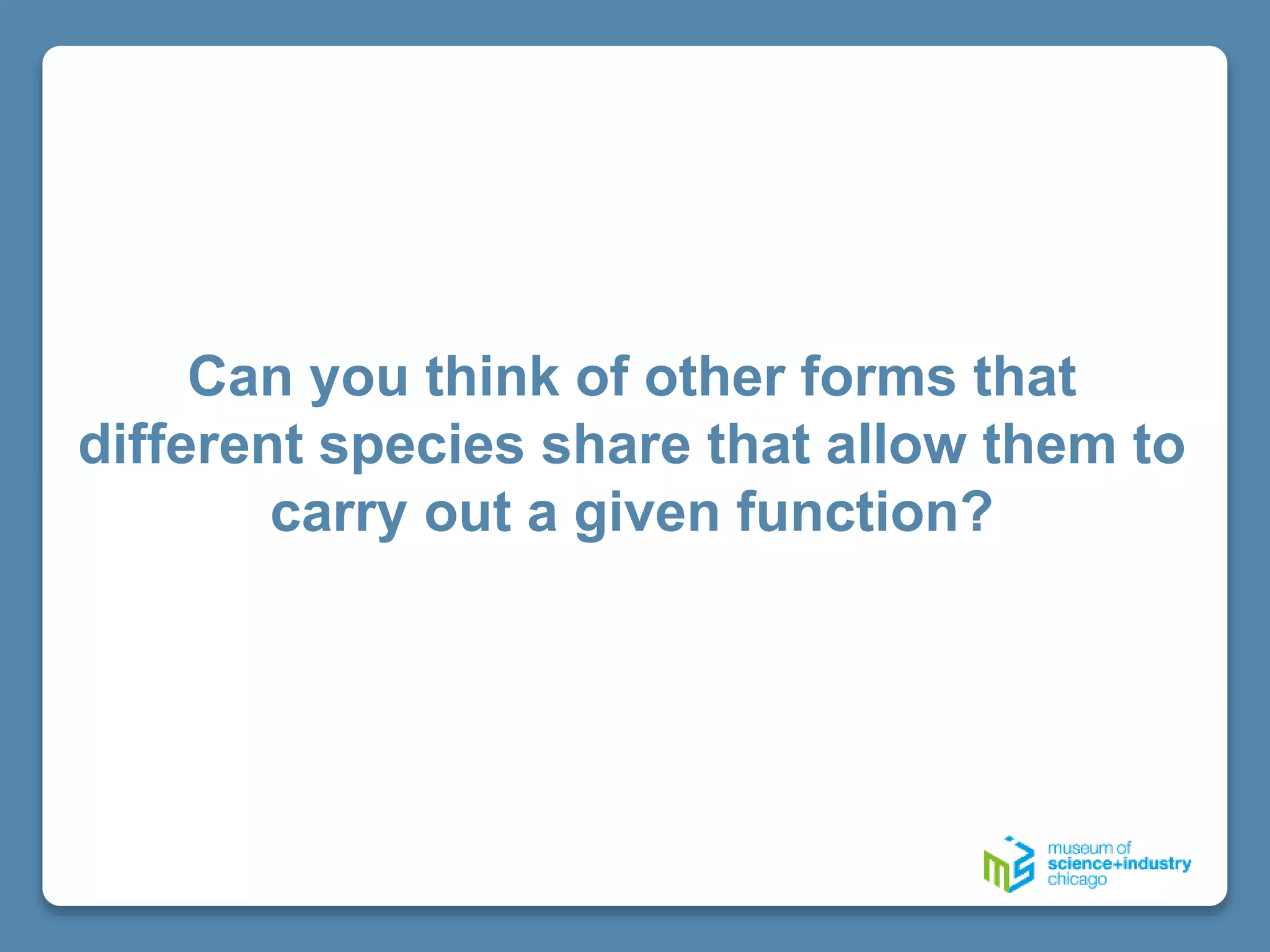 Can you think of other forms that
different species share that allow them to
carry out a given function?
 