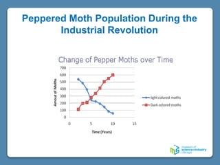 Peppered Moth Population During the
Industrial Revolution
 
