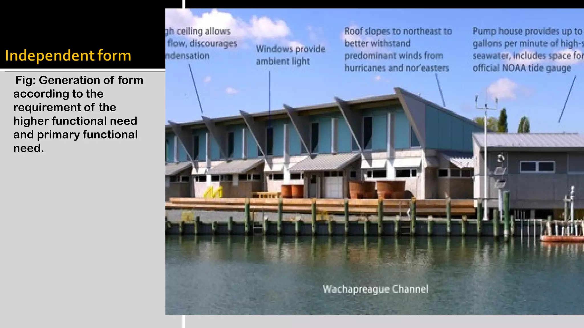 Fig: Generation of form
according to the
requirement of the
higher functional need
and primary functional
need.
 