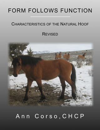 FORM FOLLOWS FUNCTION
CHARACTERISTICS OF THE NATURAL HOOF
REVISED
A n n C o r s o , C H C P
 