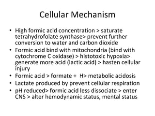 Cellular Mechanism
• High formic acid concentration > saturate
tetrahydrofolate synthase> prevent further
conversion to water and carbon dioxide
• Formic acid bind with mitochondria (bind with
cytochrome C oxidase) > histotoxic hypoxia>
generate more acid (lactic acid) > hasten cellular
injury
• Formic acid > formate + H> metabolic acidosis
• Lactate produced by prevent cellular respiration
• pH reduced> formic acid less dissociate > enter
CNS > alter hemodynamic status, mental status
 