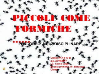 PICCOLI COME
FORMICHE
……PERCORSO MULTIDISCIPLINARE
Classi IV A e IV B
a.s. 2016/2017
I.C. Como Lago
Scuola primaria «F. Baracca»
Como
 