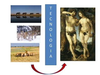 T
E
C
N
O
L
O
G
I
A

 