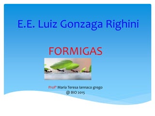 E.E. Luiz Gonzaga Righini
FORMIGAS
Profª Maria Teresa Iannaco grego
@ BIO 2015
 