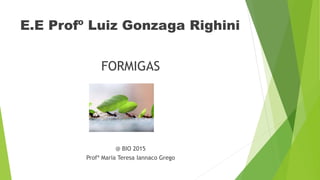 E.E Profº Luiz Gonzaga Righini
FORMIGAS
@ BIO 2015
Profª Maria Teresa Iannaco Grego
 