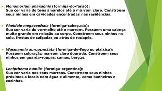  Monomorium pharaonis (formiga-do-faraó):
Sua cor varia de tons amarelos até o marrom claro. Constroem
seus ninhos em cavidades encontradas nas residências.
 Pheidole megacephala (formiga-cabeçuda):
Sua cor varia do vermelho até o marrom. Possuem uma cabeça
muito grande em relação ao corpo. Constroem seus ninhos no
solo, frestas de calçadas ou atrás de rodapés.
 Wasmannia auropunctata (formiga-de-fogo ou pixixica):
Possuem coloração marrom claro dourada. Constroem seus
ninhos em guarda-roupas, camas, berços.
 Lenipthema humile (formiga-argentina):
Sua cor varia nos tons marrons. Constroem seus ninhos
próximos a locais com água e alimento, como banheiros e
cozinhas.
 
