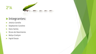 2ºA
 Integrantes:
 Jessica Canolla
 Stephannie Caroline
 Ilana Santos
 Bruna do Nascimento
 Ketlyn Evellym
 Ingrid Souza
 