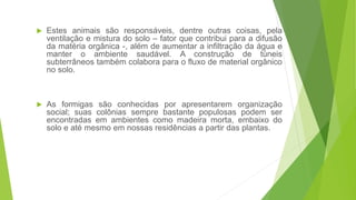  Estes animais são responsáveis, dentre outras coisas, pela
ventilação e mistura do solo – fator que contribui para a difusão
da matéria orgânica -, além de aumentar a infiltração da água e
manter o ambiente saudável. A construção de túneis
subterrâneos também colabora para o fluxo de material orgânico
no solo.
 As formigas são conhecidas por apresentarem organização
social; suas colônias sempre bastante populosas podem ser
encontradas em ambientes como madeira morta, embaixo do
solo e até mesmo em nossas residências a partir das plantas.
 