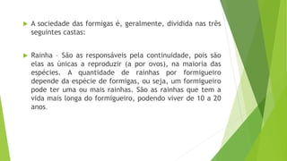  A sociedade das formigas é, geralmente, dividida nas três
seguintes castas:
 Rainha – São as responsáveis pela continuidade, pois são
elas as únicas a reproduzir (a por ovos), na maioria das
espécies. A quantidade de rainhas por formigueiro
depende da espécie de formigas, ou seja, um formigueiro
pode ter uma ou mais rainhas. São as rainhas que tem a
vida mais longa do formigueiro, podendo viver de 10 a 20
anos.
 