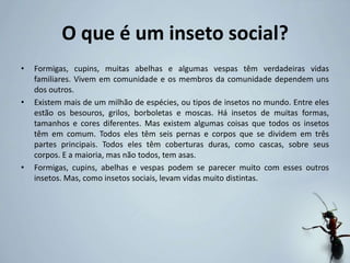 O que é um inseto social?
• Formigas, cupins, muitas abelhas e algumas vespas têm verdadeiras vidas
familiares. Vivem em comunidade e os membros da comunidade dependem uns
dos outros.
• Existem mais de um milhão de espécies, ou tipos de insetos no mundo. Entre eles
estão os besouros, grilos, borboletas e moscas. Há insetos de muitas formas,
tamanhos e cores diferentes. Mas existem algumas coisas que todos os insetos
têm em comum. Todos eles têm seis pernas e corpos que se dividem em três
partes principais. Todos eles têm coberturas duras, como cascas, sobre seus
corpos. E a maioria, mas não todos, tem asas.
• Formigas, cupins, abelhas e vespas podem se parecer muito com esses outros
insetos. Mas, como insetos sociais, levam vidas muito distintas.
 