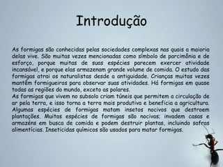 Introdução
As formigas são conhecidas pelas sociedades complexas nas quais a maioria
delas vive. São muitas vezes mencionadas como símbolo de parcimônia e de
esforço, porque muitas de suas espécies parecem exercer atividade
incansável, e porque elas armazenam grande volume de comida. O estudo das
formigas atrai os naturalistas desde a antiguidade. Crianças muitas vezes
mantêm formigueiros para observar suas atividades. Há formigas em quase
todas as regiões do mundo, exceto as polares.
As formigas que vivem no subsolo criam túneis que permitem a circulação de
ar pela terra, e isso torna a terra mais produtiva e beneficia a agricultura.
Algumas espécies de formigas matam insetos nocivos que destroem
plantações. Muitas espécies de formigas são nocivas; invadem casas e
armazéns em busca de comida e podem destruir plantas, incluindo safras
alimentícias. Inseticidas químicos são usados para matar formigas.
 