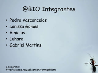 @BIO Integrantes
• Pedro Vasconcelos
• Larissa Gomes
• Vinicius
• Luhara
• Gabriel Martins
Bibliografia:
http://ciencia.hsw.uol.com.br/formiga5.htm
 