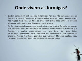 Onde vivem as formigas?
• Existem cerca de 10 mil espécies de formigas. Por isso, não surpreende que as
formigas, como milhões de outros insetos sociais, vivam em todo o mundo, exceto
nas regiões mais frias. De fato, as áreas com climas mais úmidos e quentes
abrigam o maior número de formigas e outros insetos.
• As florestas tropicais apresentam grande riqueza de insetos. Se todos os animais
que habitam a selva amazônica fossem pesados, muitos cientistas acreditam que
formigas e cupins responderiam por um terço do peso total.
As formigas apresentam forte capacidade de sobrevivência. Elas apresentam
diferentes formas de vida que permitem que vivam em diferentes habitats. E seu
pequeno tamanho lhes torna fácil encontrar alimento e abrigo.
 